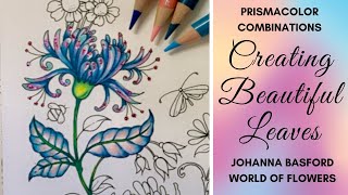 Creating Beautiful Leaves  Johanna Basford World of Flowers  Prismacolor Combinations [upl. by Churchill906]