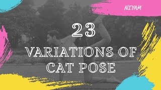 23 Variations Of Cat Pose  Marjariasana  How To Make Spine Healthy [upl. by Loss800]