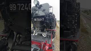 HARZ  Brockenbahn  Historische Schmalspurbahn  Dampflok Zug vom Brocken hinab shorts [upl. by Bayless]