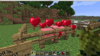 Minecraft  ASTUCES Reproductions Animals  Cochons amp Moutons [upl. by Valeda]