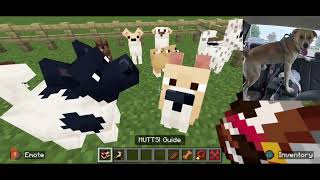 Trying to get my real pets using the Mutts mod [upl. by Oijimer137]