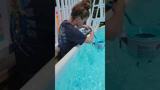 How To Install an Intex Deluxe Wall Mount Surface Skimmer in an above ground Pool [upl. by Mansoor]