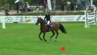 ♥ Galopin du Viviers jumping horse by Alme du Theil [upl. by Aihsemek]