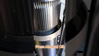 lewin hydraulic oil machine cold pressing almond oil oilpressmachine [upl. by Evangelist]