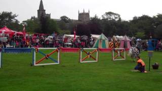 Jousting Tournament The Bruce Festival Dunfermline Fife Scotland [upl. by Nabru]