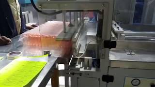 Takeout Robot and Online Bagging Machine for ISBM ASB 70DPW [upl. by Tami]