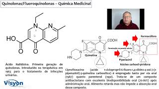 Quinolonas  a relação entre a estrutura e a atividade [upl. by Rehpotsirk]