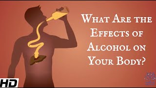 What Are The Effects Of Alcohol On Your Body [upl. by Irpak995]