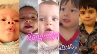 Stages First Language Acquisition [upl. by Cherlyn]