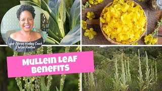 Healing Fibroids Naturally With Mullein Leaf [upl. by Kev]