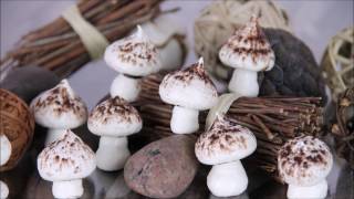 Meringues champignon [upl. by Hafinah]