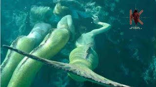 Biólogo marino muestra impactantes fotografías que revelan la existencia de Sirenas [upl. by Katlin]