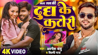 Video  दूध के कटोरी  Ft Somya Pokhrel  ShilpiRaj  Dudh Ke Katori  New Bhojpuri Song 2024 [upl. by Odlabu]