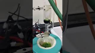 Soxhlet extraction 👩🏻‍🔬science microbiology shorts [upl. by Aundrea]