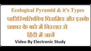 Ecological Pyramid amp its Typesपारिस्थितिकीय पिरामिड और इसके प्रकार हिंदी में [upl. by Omissam414]