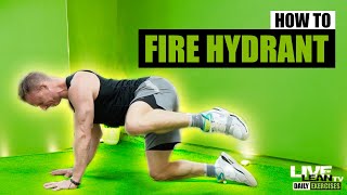 How To Do The FIRE HYDRANT EXERCISE  Exercise Demonstration Video and Guide [upl. by Lanti406]