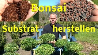 Bonsai Substrat selber mischen [upl. by Varney885]