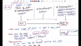 Antihypertensive Pharmacology  Calcium Channel blockers  lippincott katzung pharmacology [upl. by Paton]