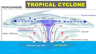 Tropical Cyclone Hurricane Storm Formation explained  Cyclone Biparjay in Arabian Sea Gujarat [upl. by Ayian]