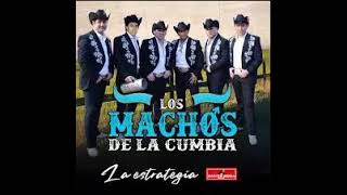 LOS MACHOS DE LA CUMBIA MEGAMIX ShIvA DJ [upl. by Ollopa]