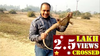 Indian Bengal Monitor Lizard Rescue  By Vlogger Vineet [upl. by Doralyn]