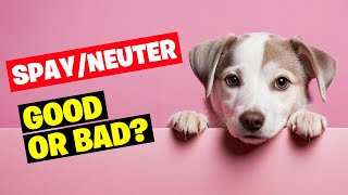 Spaying and Neutering Dogs Good or Bad [upl. by Webb657]