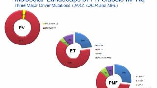 Myeloproliferative Neoplasm Hot Topic [upl. by Notslar]