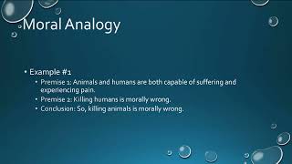 Moral Analogy SP 2022 [upl. by Hoyt]