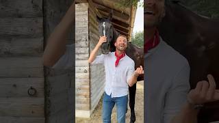 Erkennt ihr alle aus dem Video 🤠🐴 horse pferd pferde pferdecamp shorts equestrian [upl. by Obie71]