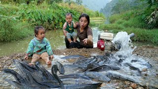 How to catch a giant fish nest naturally  bring it to the market to sell with your children [upl. by Ecirahs]