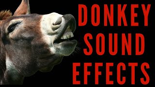 DONKEY SOUND EFFECTS  Donkey Sound Effect [upl. by Anead]