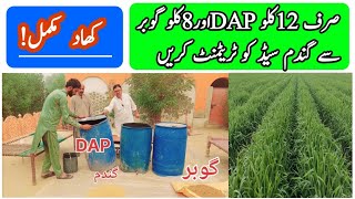 Wheat Seeds Treatments Fertiliser DAP and Gobar Advanced Farming techniques All Crop information [upl. by Eceirtal]