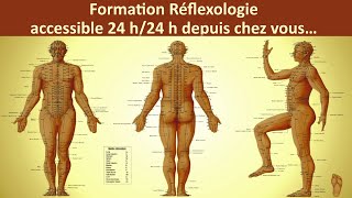 Formation Réflexologie  Apprendre la réflexologie  Comment devenir reflexologue [upl. by Burnsed]