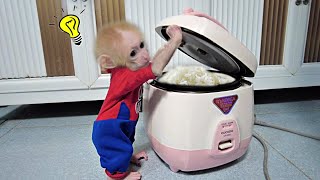 So smart Baby Monkey AKA finding a way to eat rice in a pot when he hungry [upl. by Mensch]