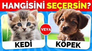 Hangisini Tercih Edersin🤔  Hayvanlar Özel 😻🐶 [upl. by Rawna]