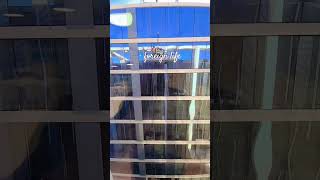 Dubai Internet City youtubeshorts windows Glass installation [upl. by Materse]