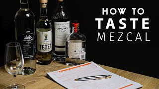 Tasting Mezcal Like a Pro [upl. by Nal352]