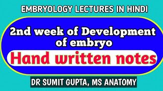 Notes on 2nd week of development  Embryology [upl. by Dnanidref]