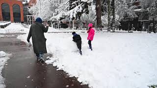 Lille sous la neige janvier 2019 [upl. by Huberty]