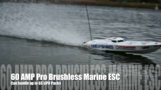 Venom King of Shave® P1 Brushless RC Powerboat [upl. by Astrix]