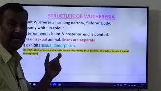 267Wuchereria bancrofti Life cycleLQJRsUnit ViBiology in Human welfare [upl. by Concettina]