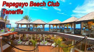 Papagayo Beach Club ☀️ Tenerife 2023 [upl. by Erdnaed452]