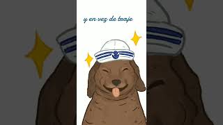 Perro salchicha gordo bachicha❤ humor [upl. by Adimra]