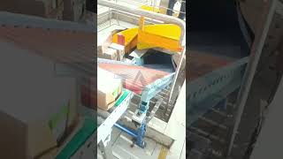 BEVERAGE CARTON BOX CONVEYOR SYSTEM [upl. by Dame117]