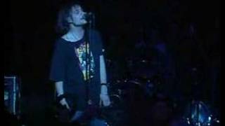 Gin Blossoms  Hey Jealousy Live in Chicago [upl. by Acnaib]