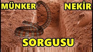 MÜNKER VE NEKİR SORGULAMASI  KABİR AZABI  kısa kıssa [upl. by Gensmer]