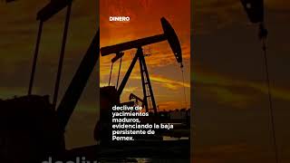 Descenso en la producción de petróleo  Dinero en Imagen [upl. by Heida]