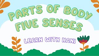 PARTS OF BODYFIVE SENSES BODY PARTS LEARN PARTS OF BODY LEARN ENGLISH KIDS LEARNING [upl. by Netsrejk566]