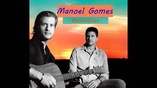 Manoel Gomes  Borboletas IA Cover [upl. by Viridi222]