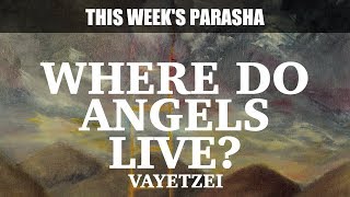 Where do Angels Live  Rabbi Yaacov Haber  Parshat Vayetzei 5780 [upl. by Hazaki868]